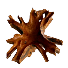 Teak Root Coffee Table with Round Glass Top