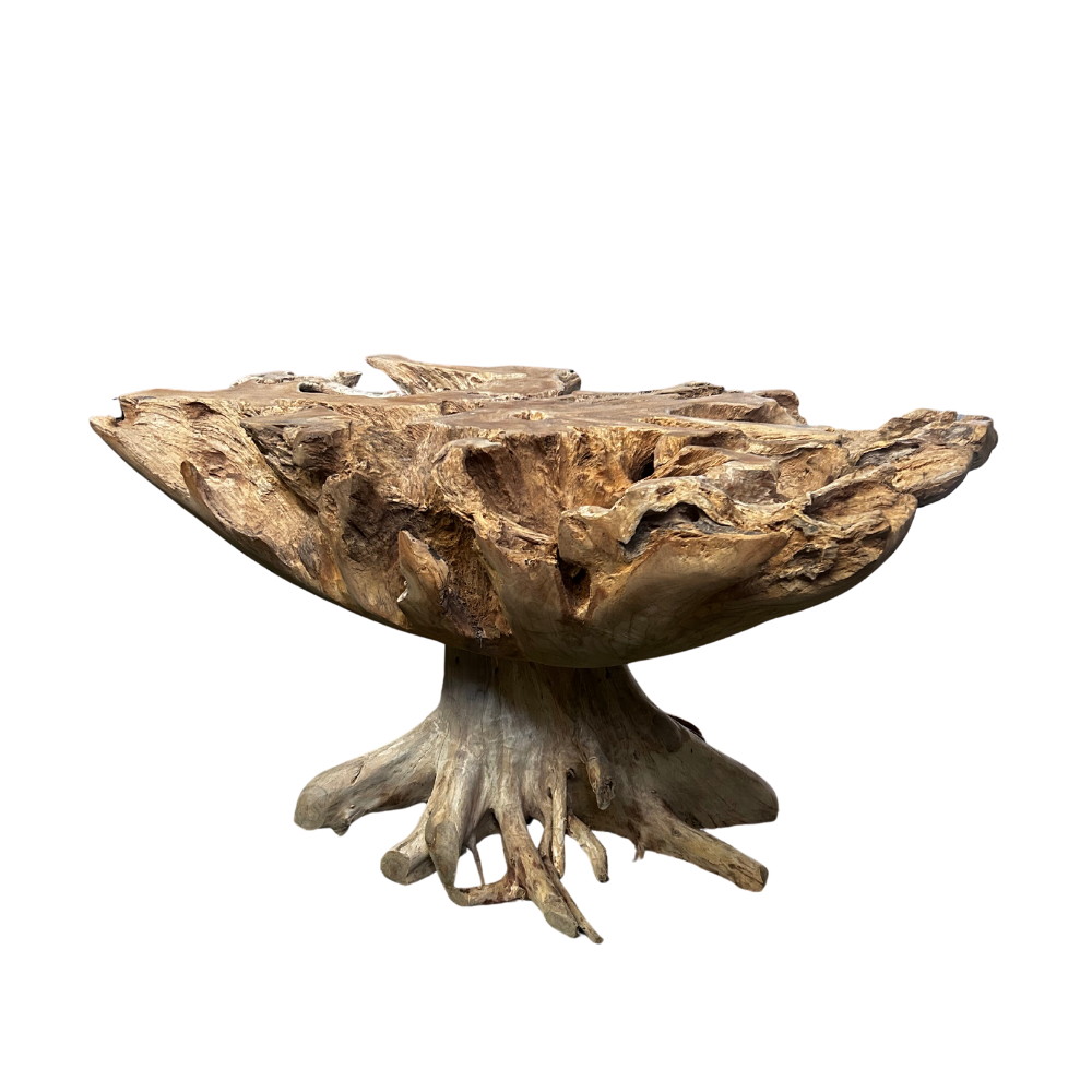 Stunning Teak Root Base Dining Table with Modern Tempered Glass Top