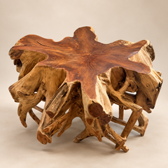 A rustic coffee table made from natural driftwood or tree roots, featuring a highly polished, star-shaped top with rich brown wood grain and a complex, organic base of branching roots, photographed on a neutral beige studio background.