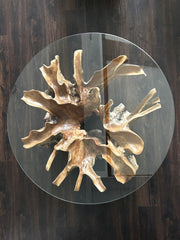 Teak Root Coffee Table with Round Glass Top