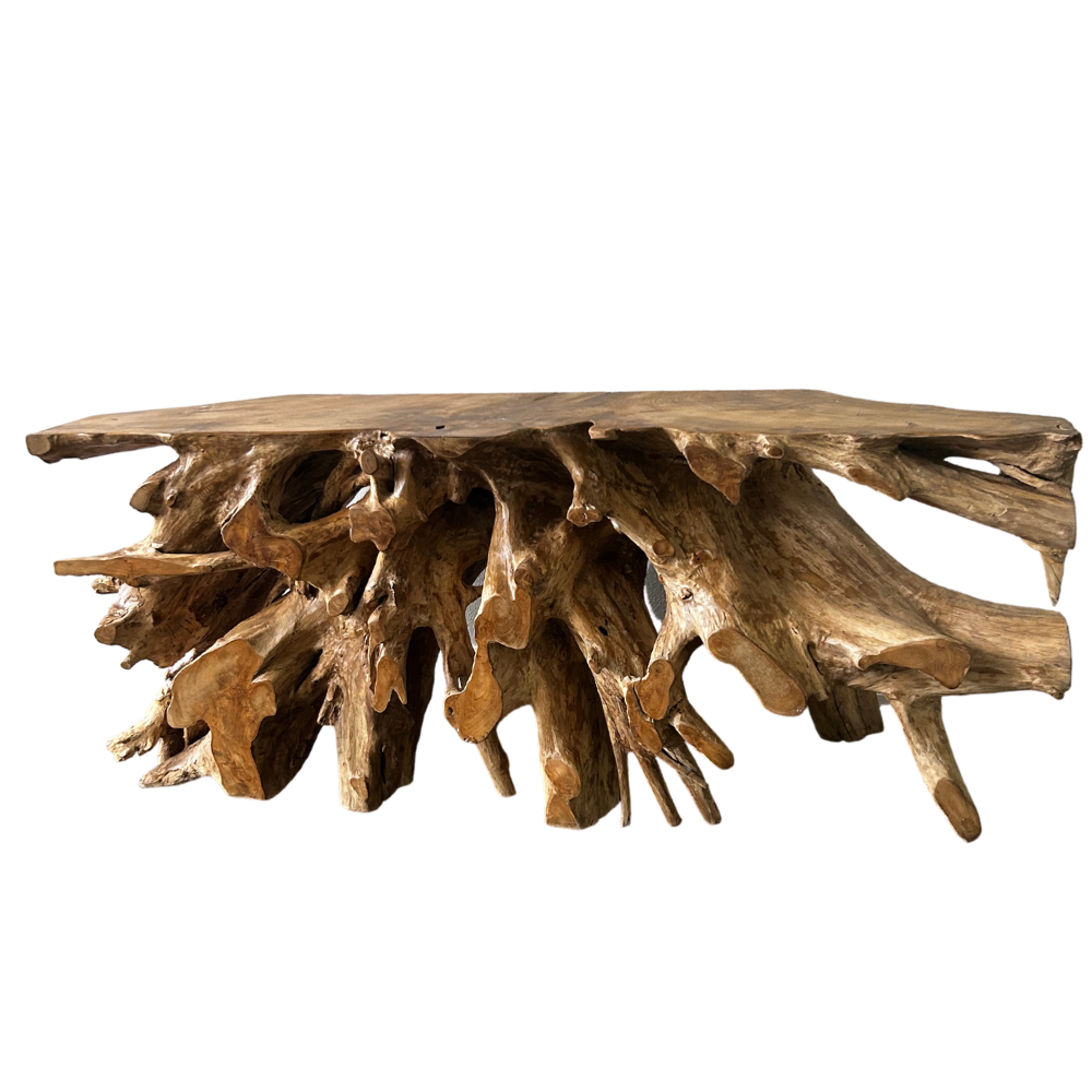 Teak Root Console Table | Handcrafted Sustainable Wood – SpencerAbbadie