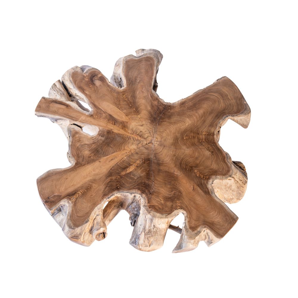 Teak Root Coffee Table | Handcrafted Sustainable Wood – SpencerAbbadie