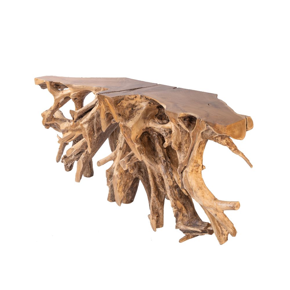 Teak Root Console Table – SpencerAbbadie