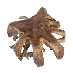 Solid Teak Root Coffee table