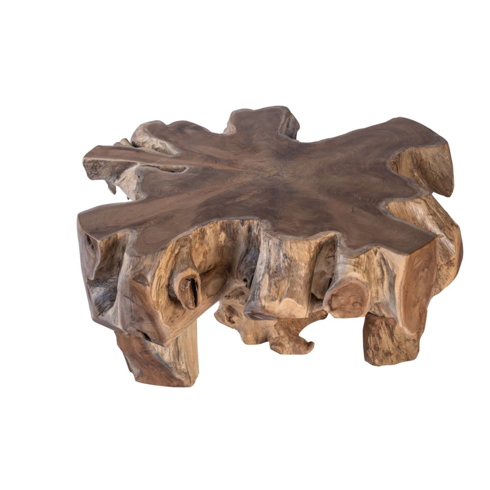 Solid Teak Root Coffee Table – SpencerAbbadie