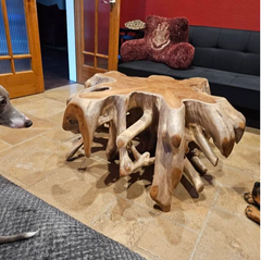 Solid Teak Root Coffee table