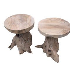 Solid Teak Root End tables (Set of two)